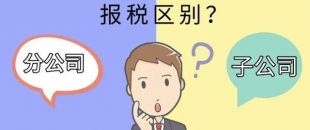 設(shè)立分公司和子公司，哪個(gè)更節(jié)稅？看完就明白了！