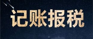 南山一家剛剛成立的新公司，要怎么記賬和報(bào)稅？
