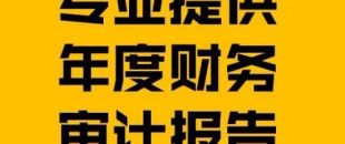 財(cái)務(wù)報(bào)表審計(jì)報(bào)告的費(fèi)用是多少？